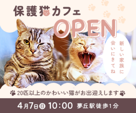 保護猫カフェオープン告知バナー